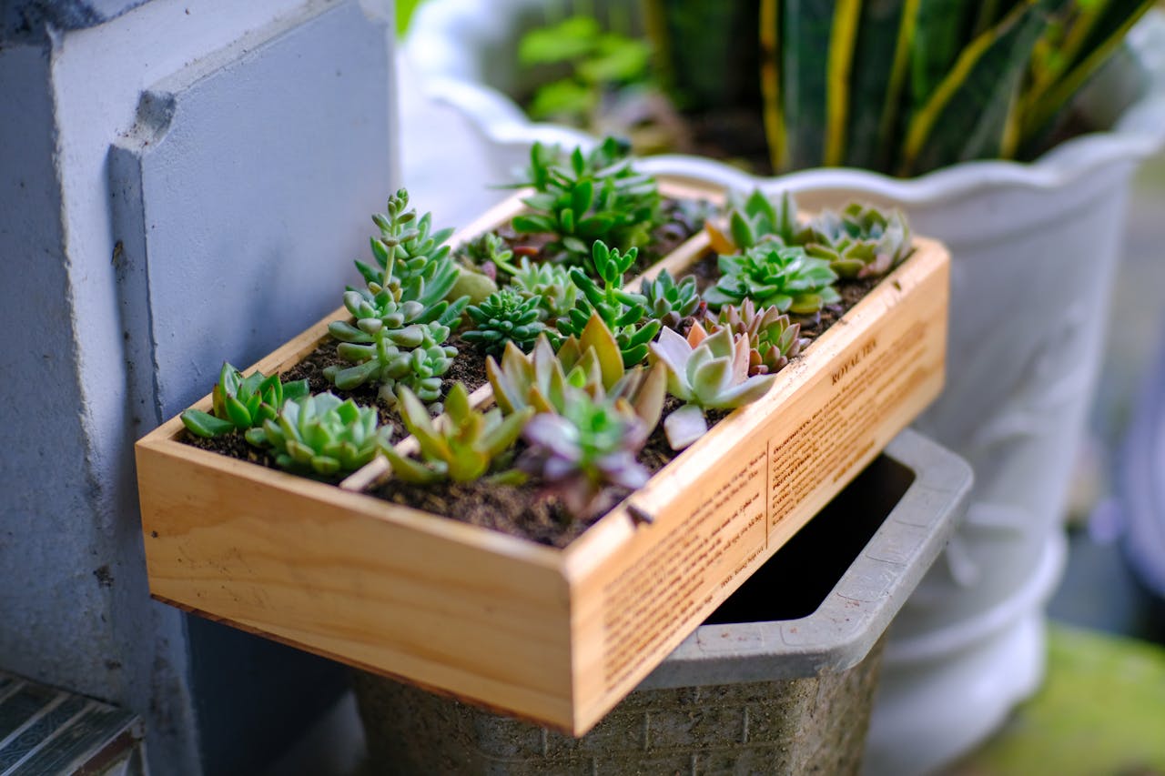 home-img Serene Northern Vietnam mountain village landscape